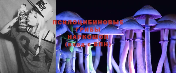 бошки Арсеньев