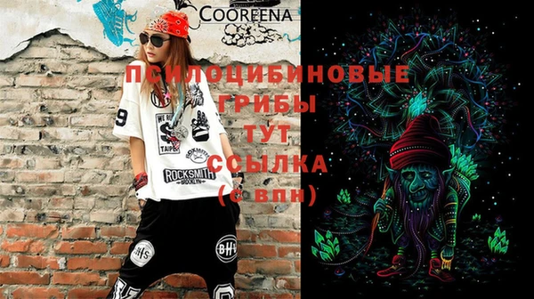 первитин Армянск