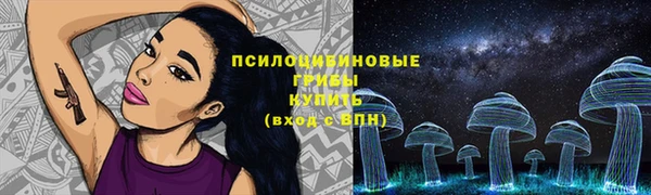 бошки Арсеньев